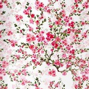 产品与服务