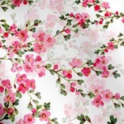 产品与服务