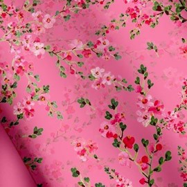 产品与服务