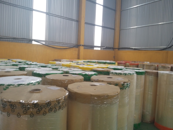 Băng keo Jumbo OPP