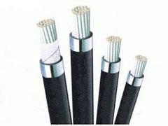 Cáp điều khiển không lưới