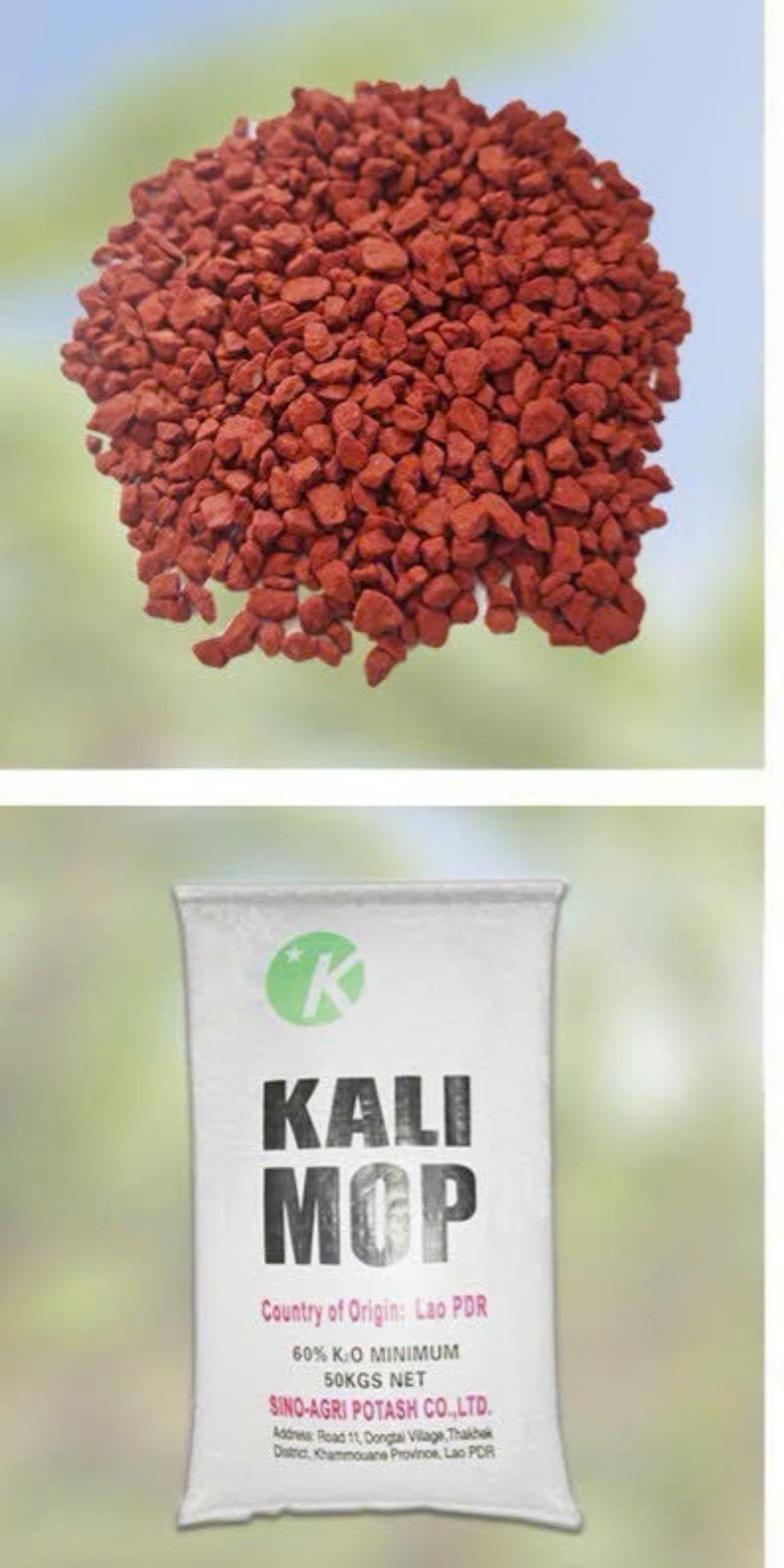 Phân bón Kali MOP 60% Minimum