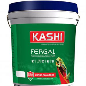Sơn Kashi Fergal