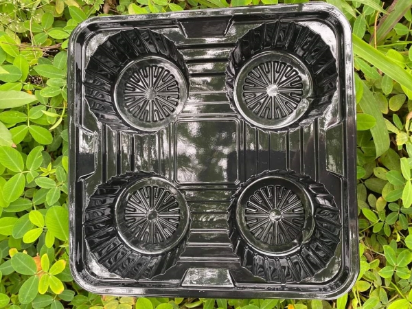 Khay đựng cốc nhựa