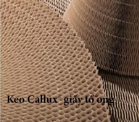 Keo Callux giấy tổ ong