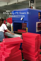 Khay xốp định hình