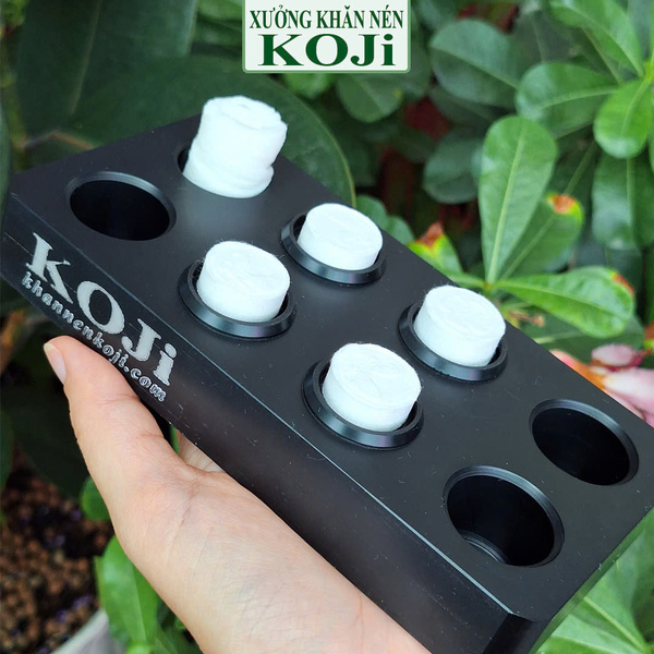 Khay để khăn nén