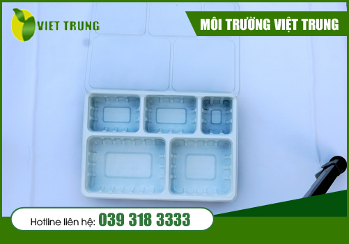 Khay thực phẩm