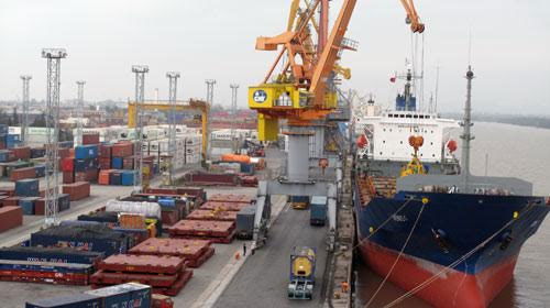 Bãi container cho các hãng tàu