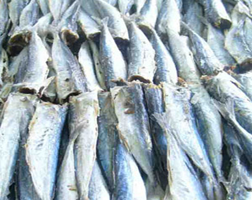 Khô cá nục
