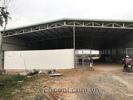 Kho lạnh chuối Long An