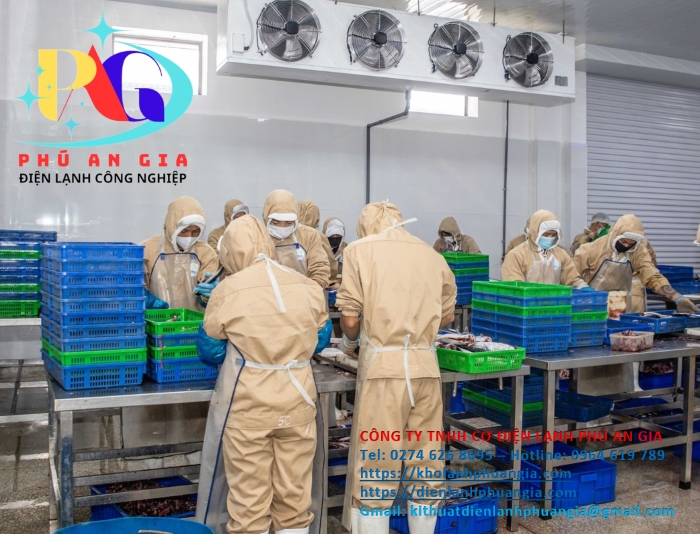 Kho đông lạnh chế biến hải sản