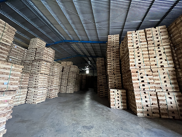Kho hàng 1 quy mô 5000m2