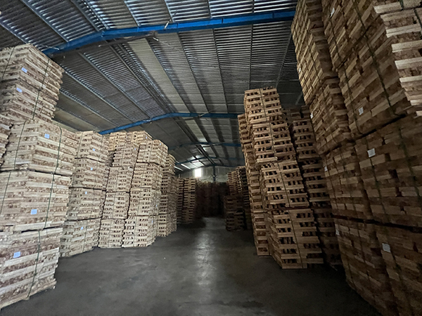 Kho hàng 1 quy mô 5000m2