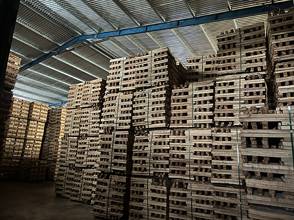 Kho hàng 1 quy mô 5000m2