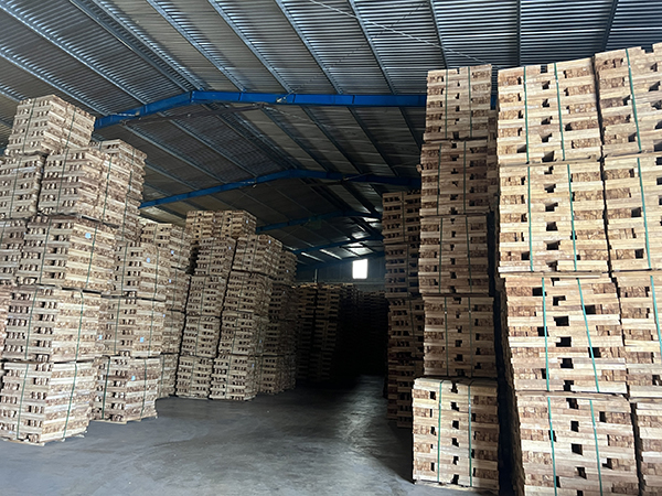 Kho hàng 1 quy mô 5000m2