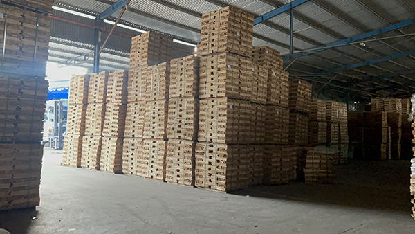 Kho hàng 2 quy mô 8000m2