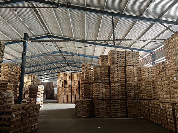 Kho hàng 2 quy mô 8000m2