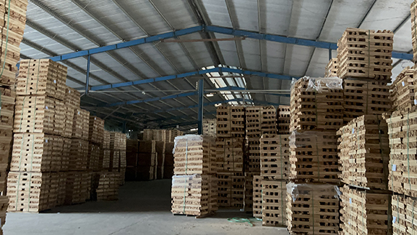 Kho hàng 2 quy mô 8000m2