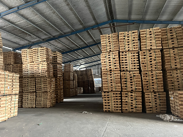 Kho hàng 2 quy mô 8000m2