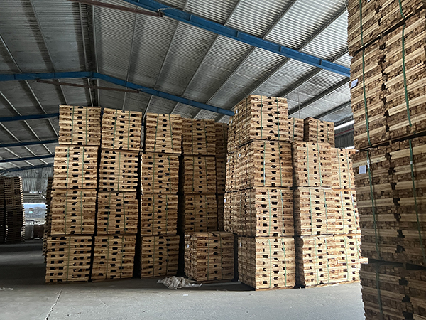 Kho hàng 2 quy mô 8000m2