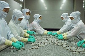 Kho lạnh bảo quản hải sản tại HCM