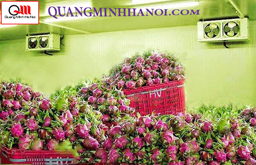 Kho lạnh bảo quản nông sản