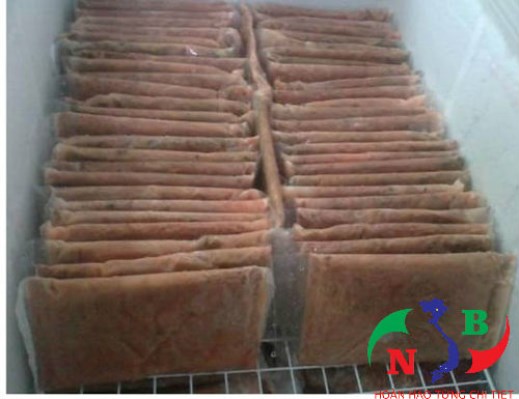 Kho lạnh bảo quản rươi