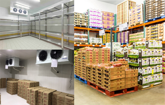 Kho lạnh bảo quả thực phẩm