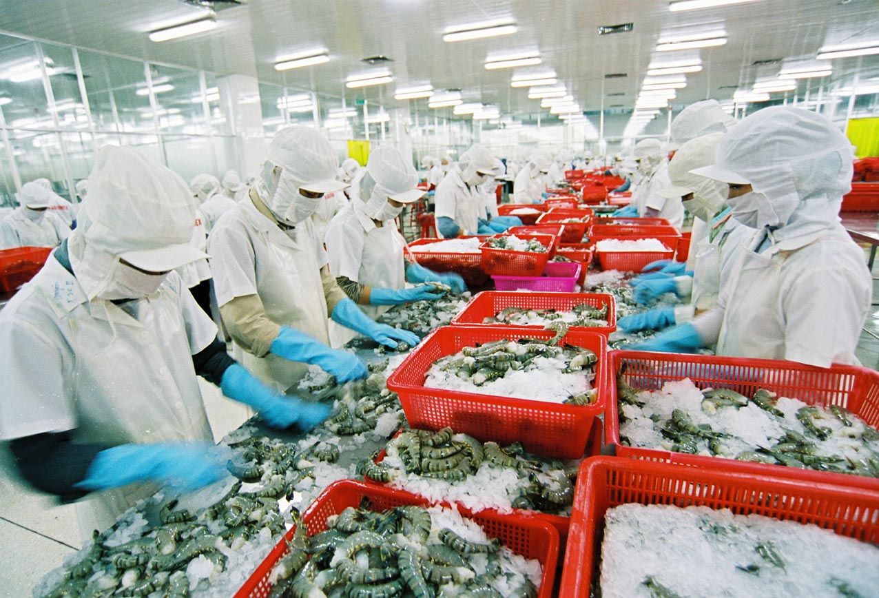 Kho lạnh bảo quản thủy hải sản