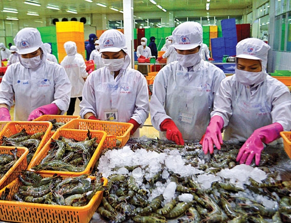 Kho lạnh bảo quản thủy hải sản
