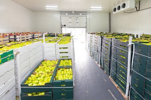 Kho lạnh bảo quản trái cây tại Sóc Trăng