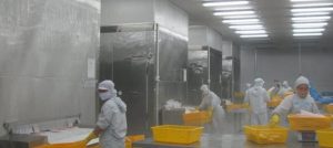Kho lạnh bảo quản hải sản Bình Thuận