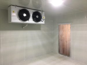 Kho lạnh bảo quản hải sản tại Vũng Tàu