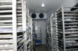 Kho lạnh bảo quản hải sản tại Vũng Tàu