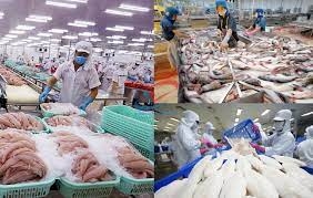 Kho lạnh hải sản