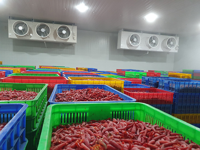 Kho lạnh nông sản