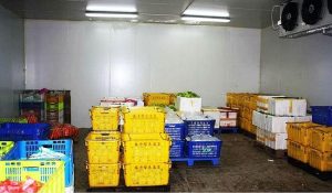 Kho lạnh bảo quản rau tại Đồng Nai