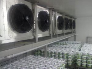 Kho lạnh thực phẩm tại Tiền Giang