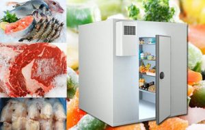 Kho lạnh thực phẩm Bình Dương
