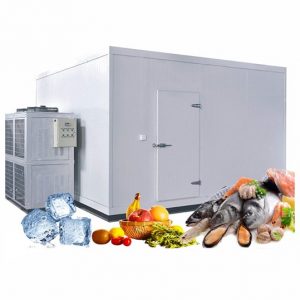Kho lạnh bảo quản thủy hải sản