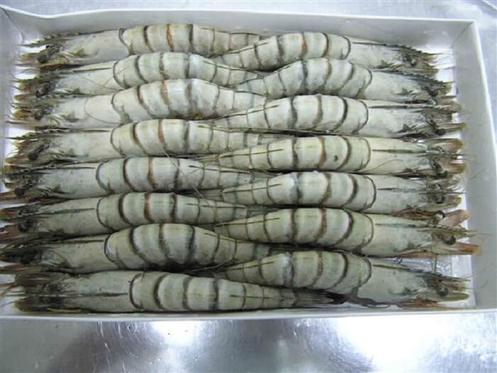 Lắp đặt kho lạnh bảo quản thủy sản