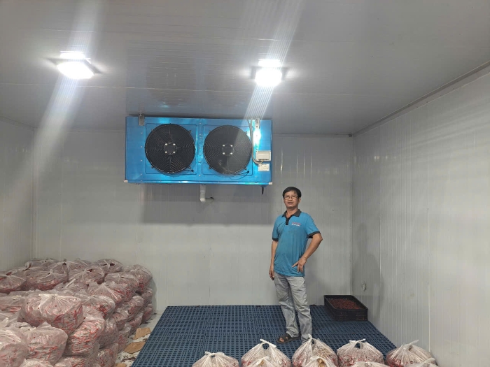 Kho lạnh trung chuyển hành tỏi