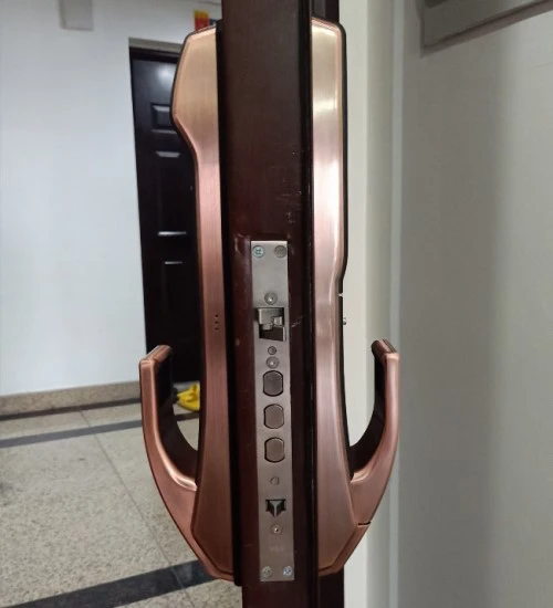 Khóa cửa vân tay Kaadas K9