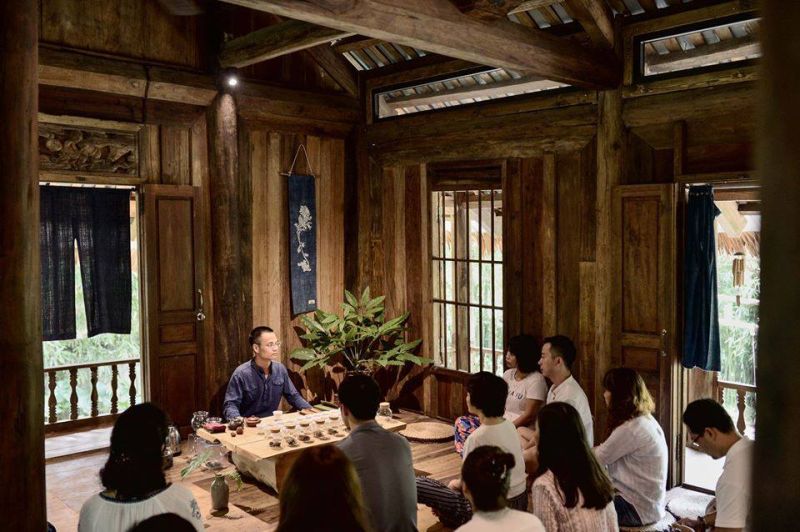 Khóa học và Workshop trà