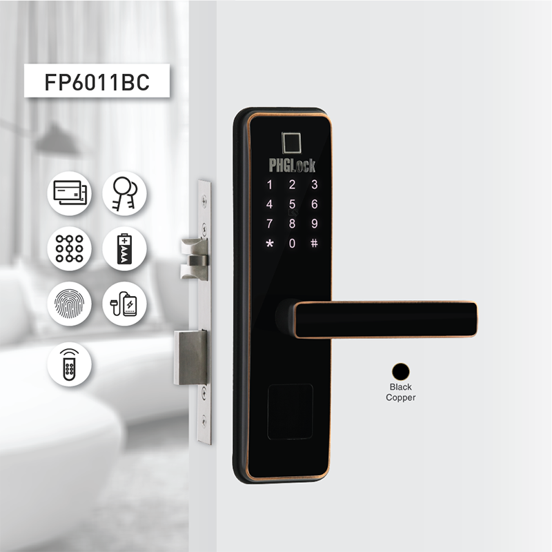 Khóa vân tay cao cấp FP6011