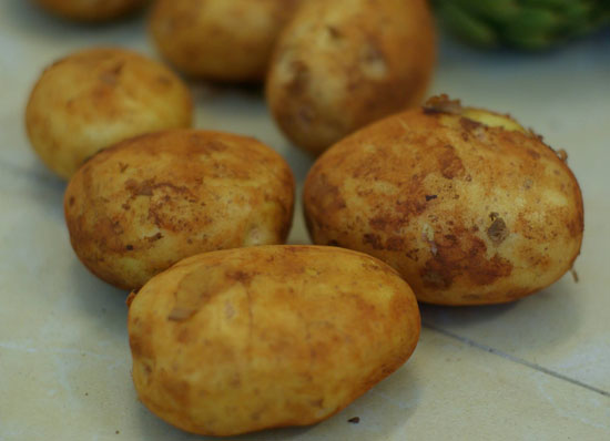 Chăm bón khoai tây