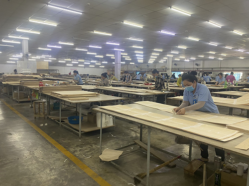 Khu cắt ghép Veneer