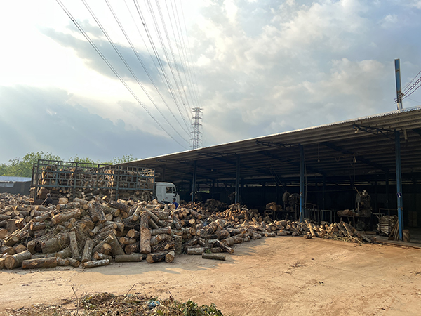 Khu vực cưa xẻ gỗ cao su