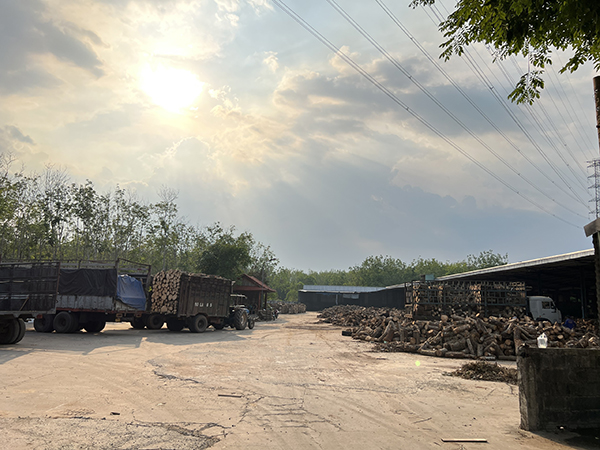 Khu vực cưa xẻ gỗ cao su